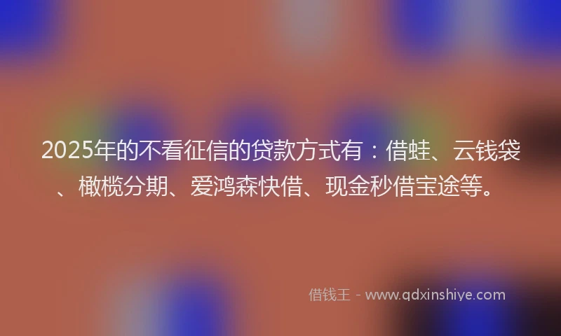 2025年的不看征信的贷款方式有:借蛙、云钱袋、橄榄分期、爱鸿森快借、现金秒借宝途等。