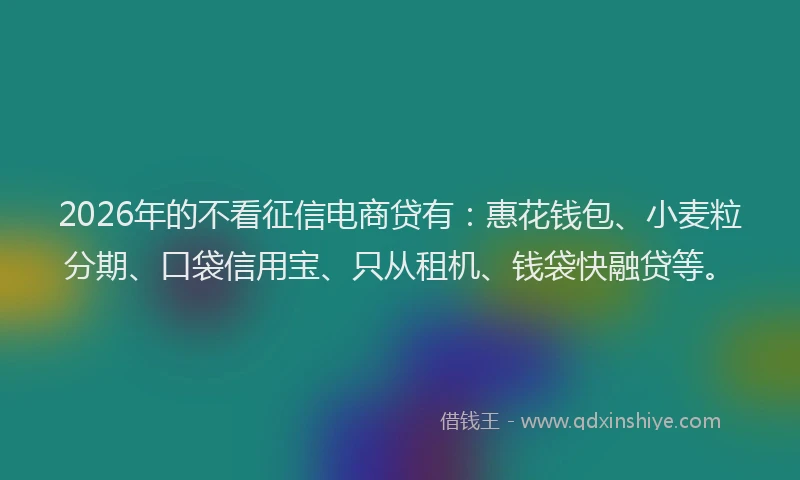 2026年的不看征信电商贷有：惠花钱包、小麦粒分期、口袋信用宝、只从租机、钱袋快融贷等。