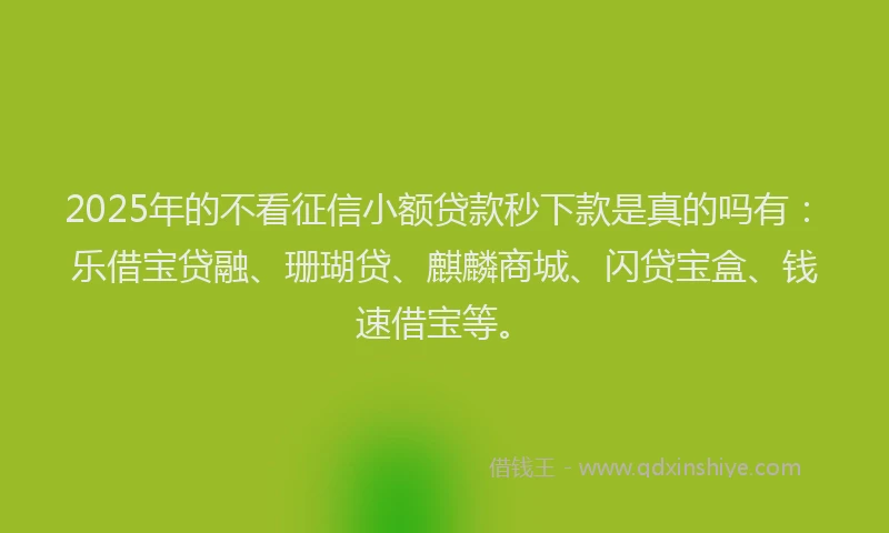 2025年的不看征信小额贷款秒下款是真的吗有：乐借宝贷融、珊瑚贷、麒麟商城、闪贷宝盒、钱速借宝等。