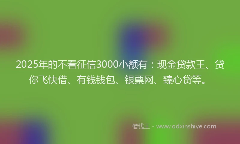 2025年的不看征信3000小额有:现金贷款王、贷你飞快借、有钱钱包、银票网、臻心贷等。