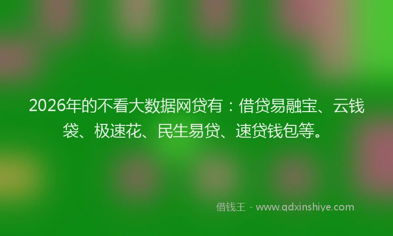 2026年的不看大数据网贷有:借贷易融宝、云钱袋、极速花、民生易贷、速贷钱包等。