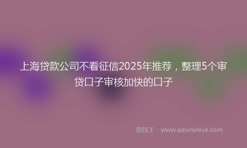 上海贷款公司不看征信2025年推荐，整理5个审贷口子审核加快的口子