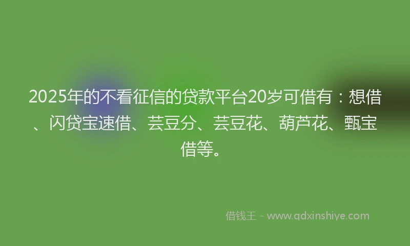 2025年的不看征信的贷款平台20岁可借有：想借、闪贷宝速借、芸豆分、芸豆花、葫芦花、甄宝借等。