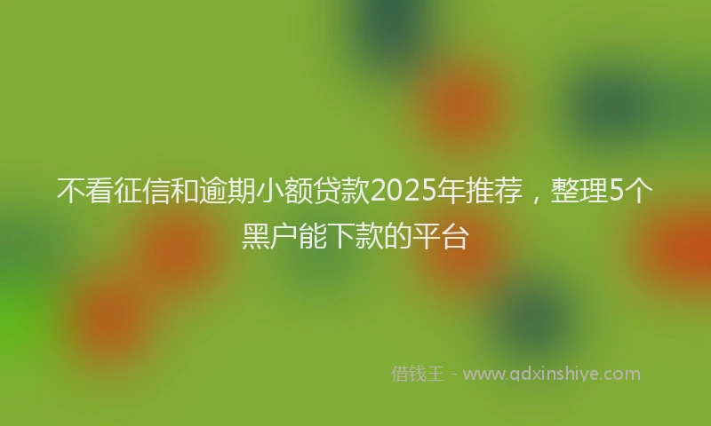 不看征信和逾期小额贷款2025年推荐，整理5个黑户能下款的平台