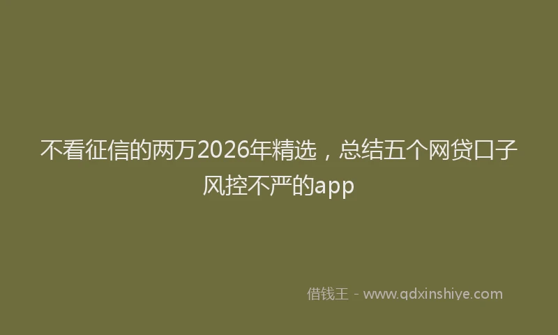不看征信的两万2026年精选，总结五个网贷口子风控不严的app
