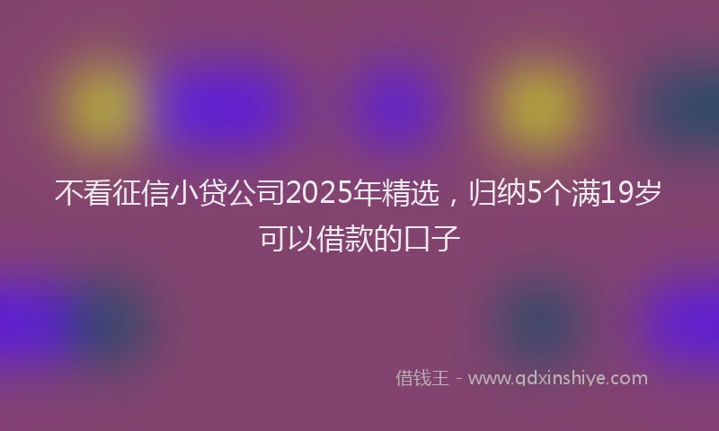 不看征信小贷公司2025年精选,归纳5个满19岁可以借款的口子