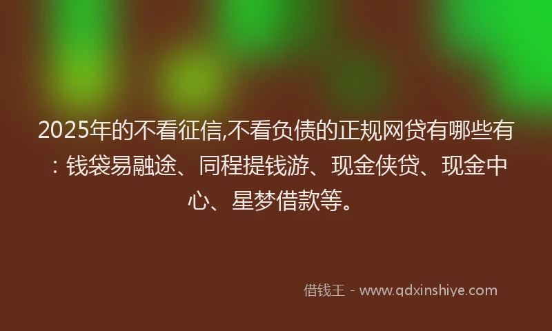 2025年的不看征信,不看负债的正规网贷有哪些有：钱袋易融途、同程提钱游、现金侠贷、现金中心、星梦借款等。
