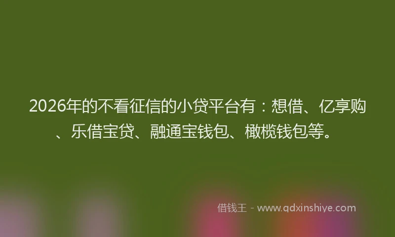 2026年的不看征信的小贷平台有：想借、亿享购、乐借宝贷、融通宝钱包、橄榄钱包等。