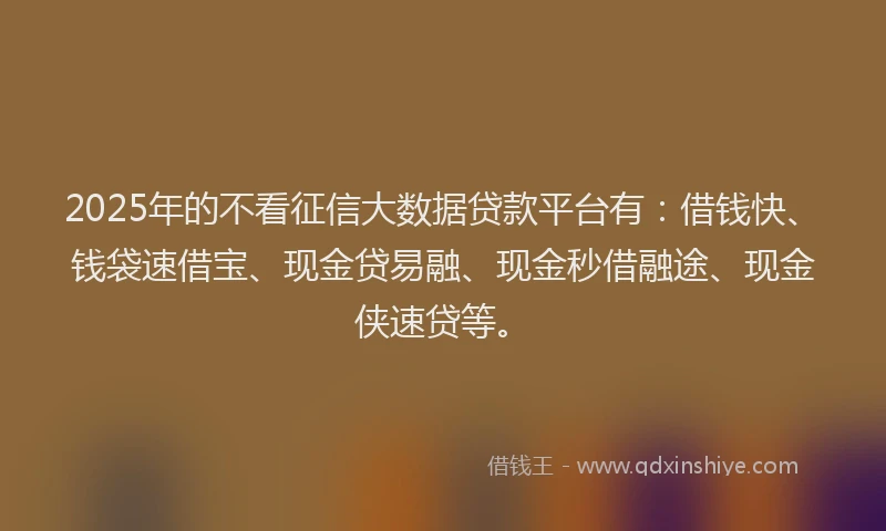 2025年的不看征信大数据贷款平台有：借钱快、钱袋速借宝、现金贷易融、现金秒借融途、现金侠速贷等。