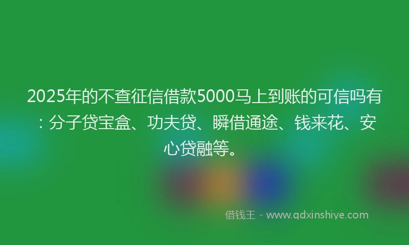 2025年的不查征信借款5000马上到账的可信吗有:分子贷宝盒、功夫贷、瞬借通途、钱来花、安心贷融等。