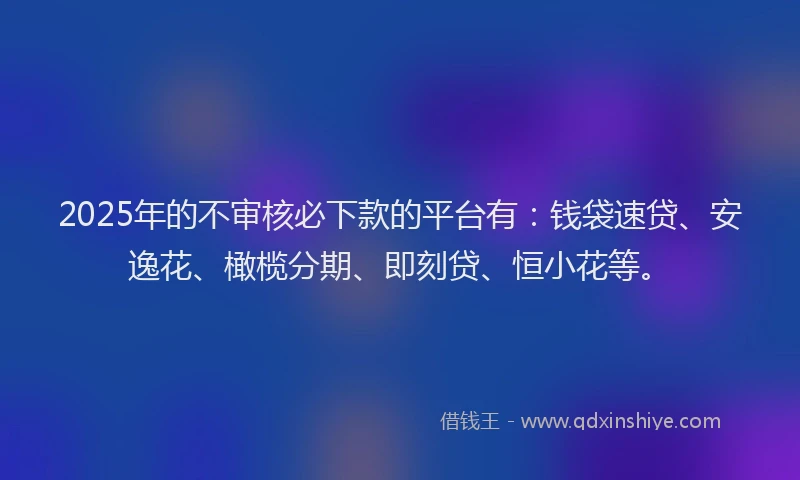 2025年的不审核必下款的平台有：钱袋速贷、安逸花、橄榄分期、即刻贷、恒小花等。
