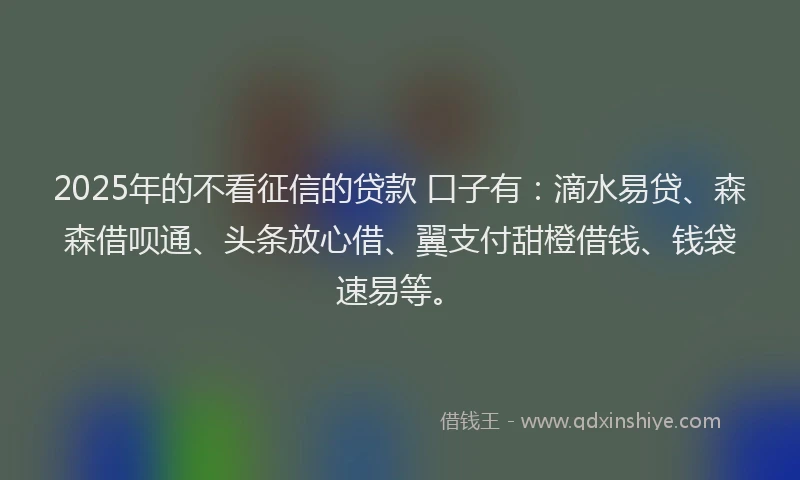 2025年的不看征信的贷款 口子有：滴水易贷、森森借呗通、头条放心借、翼支付甜橙借钱、钱袋速易等。