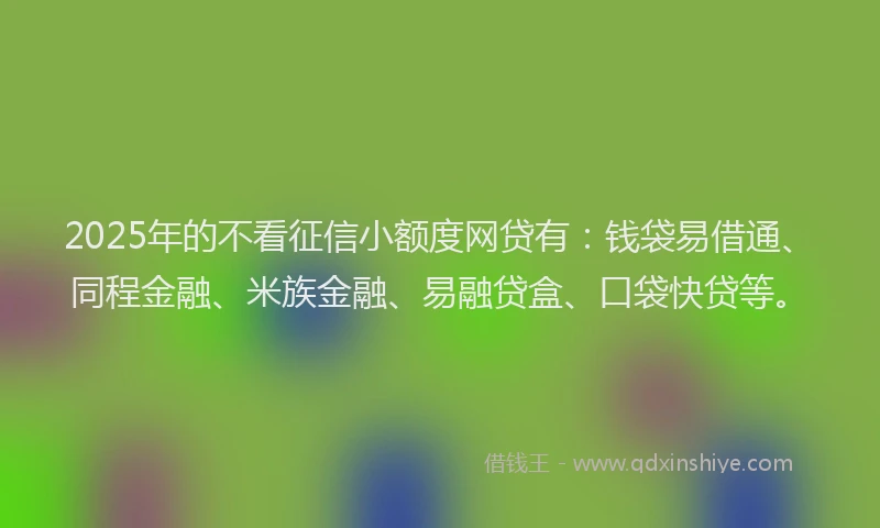 2025年的不看征信小额度网贷有：钱袋易借通、同程金融、米族金融、易融贷盒、口袋快贷等。