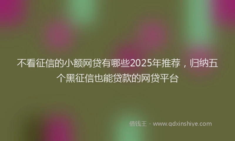 不看征信的小额网贷有哪些2025年推荐,归纳五个黑征信也能贷款的网贷平台