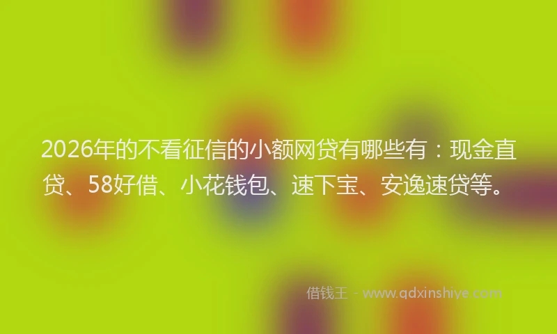 2026年的不看征信的小额网贷有哪些有：现金直贷、58好借、小花钱包、速下宝、安逸速贷等。
