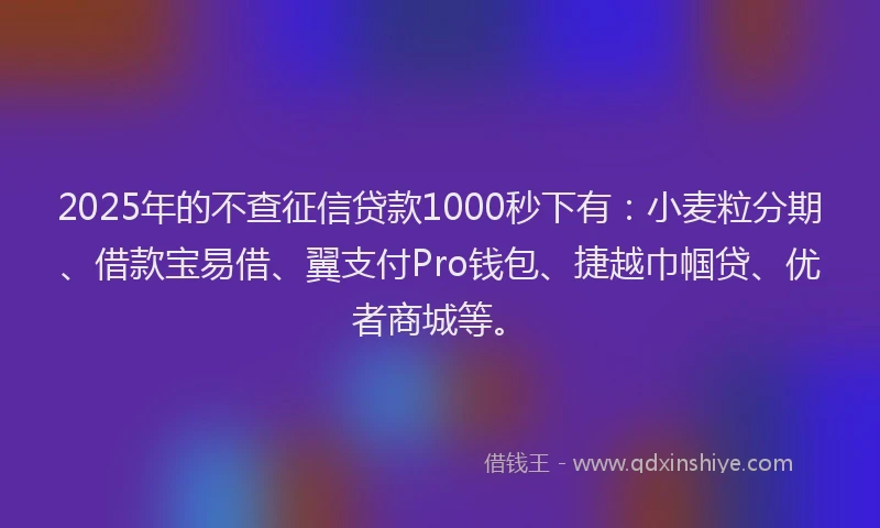 2025年的不查征信贷款1000秒下有:小麦粒分期、借款宝易借、翼支付Pro钱包、捷越巾帼贷、优者商城等。