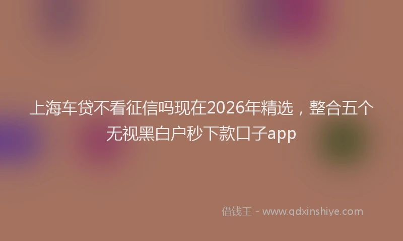 上海车贷不看征信吗现在2026年精选，整合五个无视黑白户秒下款口子app