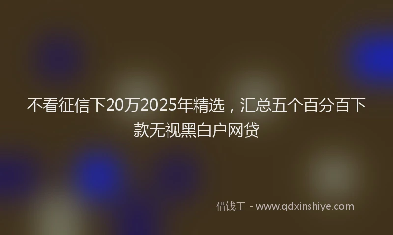 不看征信下20万2025年精选，汇总五个百分百下款无视黑白户网贷