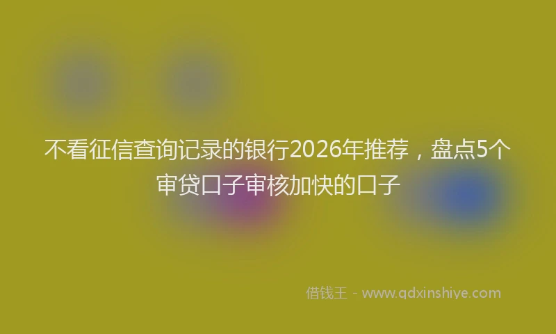 不看征信查询记录的银行2026年推荐，盘点5个审贷口子审核加快的口子