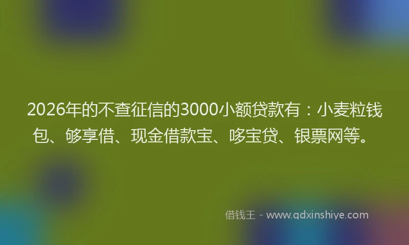 2026年的不查征信的3000小额贷款有：小麦粒钱包、够享借、现金借款宝、哆宝贷、银票网等。