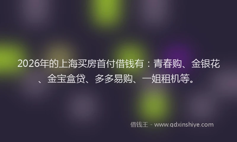 2026年的上海买房首付借钱有：青春购、金银花、金宝盒贷、多多易购、一姐租机等。