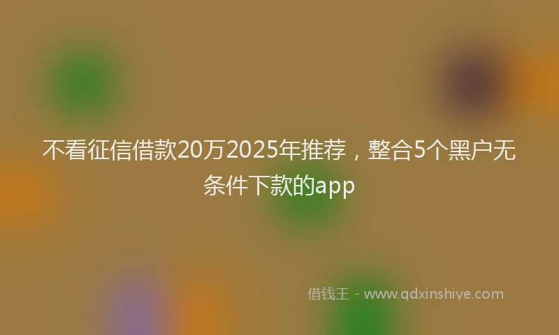 不看征信借款20万2025年推荐，整合5个黑户无条件下款的app