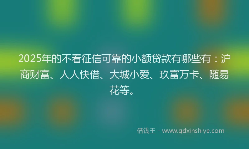 2025年的不看征信可靠的小额贷款有哪些有：沪商财富、人人快借、大城小爱、玖富万卡、随易花等。