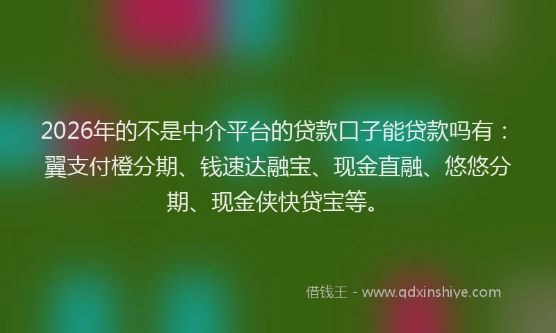 2026年的不是中介平台的贷款口子能贷款吗有：翼支付橙分期、钱速达融宝、现金直融、悠悠分期、现金侠快贷宝等。