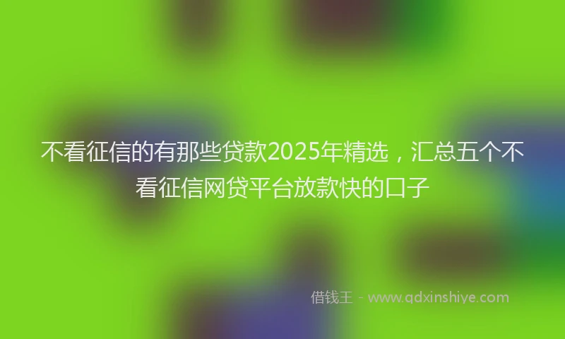 不看征信的有那些贷款2025年精选，汇总五个不看征信网贷平台放款快的口子