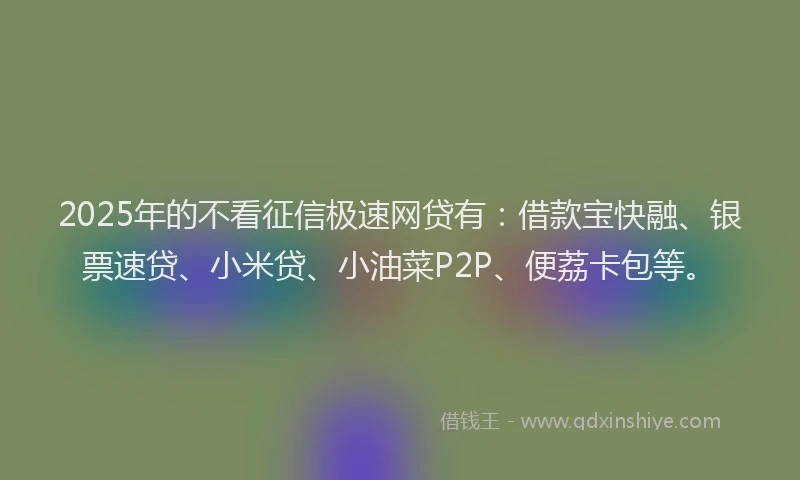 2025年的不看征信极速网贷有：借款宝快融、银票速贷、小米贷、小油菜P2P、便荔卡包等。