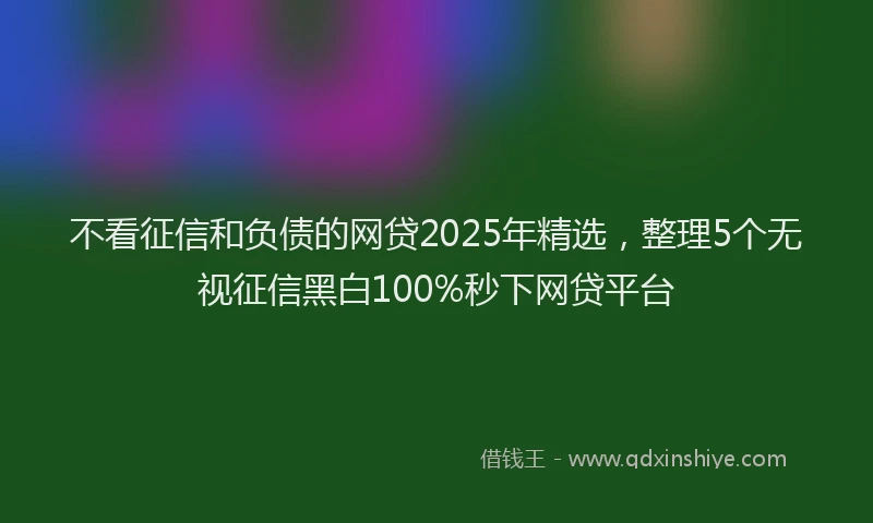 不看征信和负债的网贷2025年精选,整理5个无视征信黑白100%秒下网贷平台
