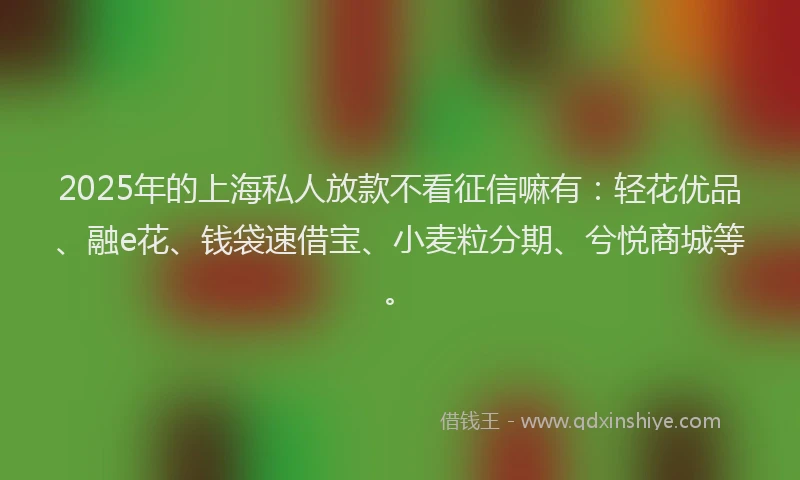 2025年的上海私人放款不看征信嘛有：轻花优品、融e花、钱袋速借宝、小麦粒分期、兮悦商城等。