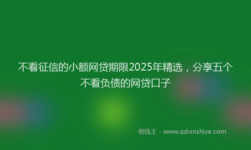 不看征信的小额网贷期限2025年精选,分享五个不看负债的网贷口子