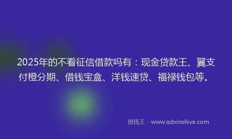 2025年的不看征信借款吗有：现金贷款王、翼支付橙分期、借钱宝盒、洋钱速贷、福禄钱包等。