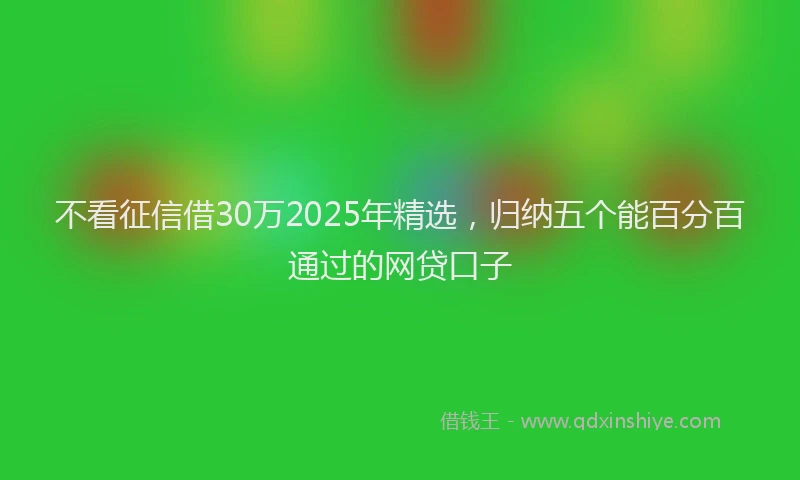不看征信借30万2025年精选，归纳五个能百分百通过的网贷口子