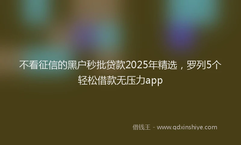 不看征信的黑户秒批贷款2025年精选,罗列5个轻松借款无压力app