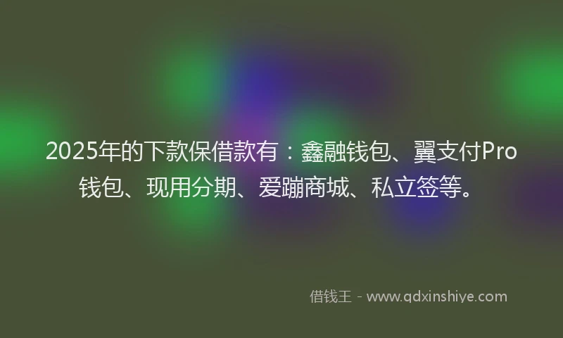 2025年的下款保借款有：鑫融钱包、翼支付Pro钱包、现用分期、爱蹦商城、私立签等。
