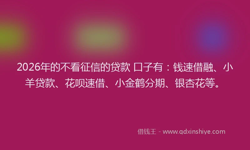 2026年的不看征信的贷款 口子有：钱速借融、小羊贷款、花呗速借、小金鹤分期、银杏花等。