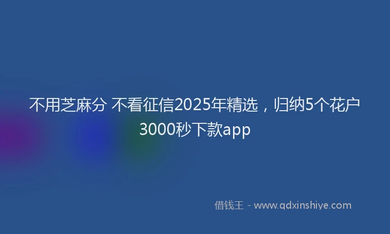 不用芝麻分 不看征信2025年精选，归纳5个花户3000秒下款app