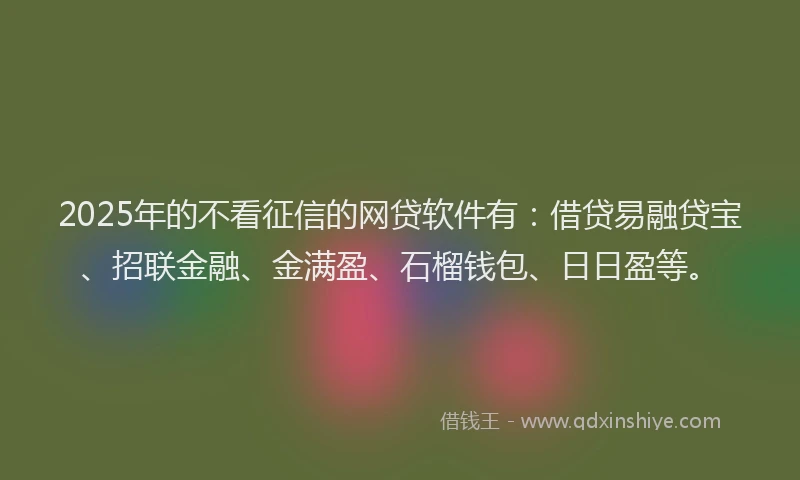 2025年的不看征信的网贷软件有：借贷易融贷宝、招联金融、金满盈、石榴钱包、日日盈等。