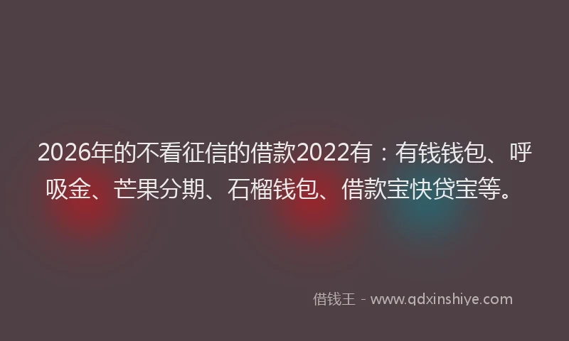 2026年的不看征信的借款2022有:有钱钱包、呼吸金、芒果分期、石榴钱包、借款宝快贷宝等。
