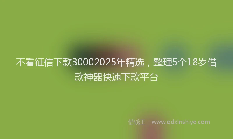 不看征信下款30002025年精选，整理5个18岁借款神器快速下款平台