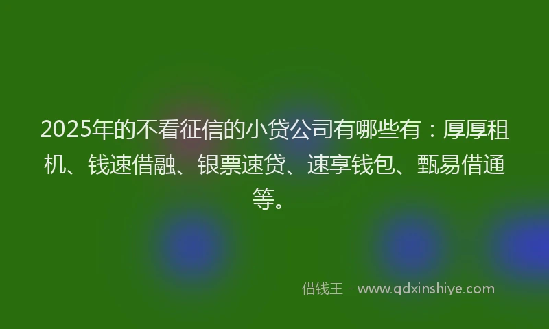 2025年的不看征信的小贷公司有哪些有：厚厚租机、钱速借融、银票速贷、速享钱包、甄易借通等。