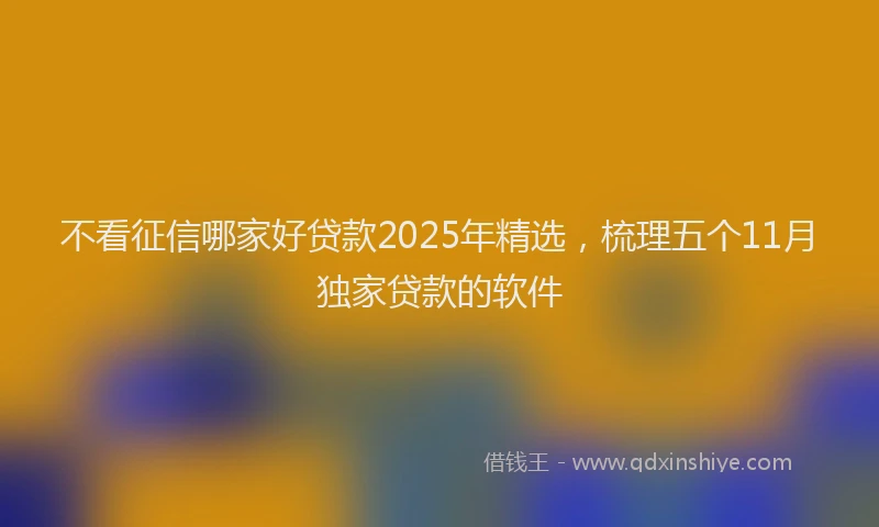 不看征信哪家好贷款2025年精选，梳理五个11月独家贷款的软件