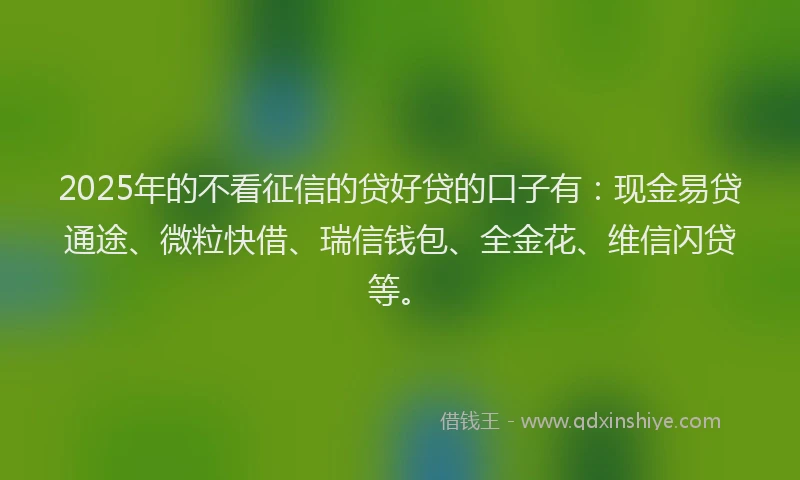 2025年的不看征信的贷好贷的口子有：现金易贷通途、微粒快借、瑞信钱包、全金花、维信闪贷等。