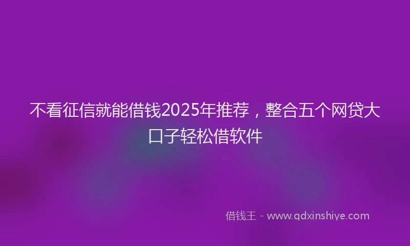 不看征信就能借钱2025年推荐，整合五个网贷大口子轻松借软件