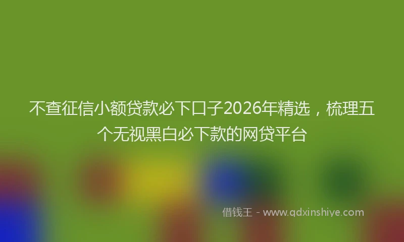 不查征信小额贷款必下口子2026年精选，梳理五个无视黑白必下款的网贷平台