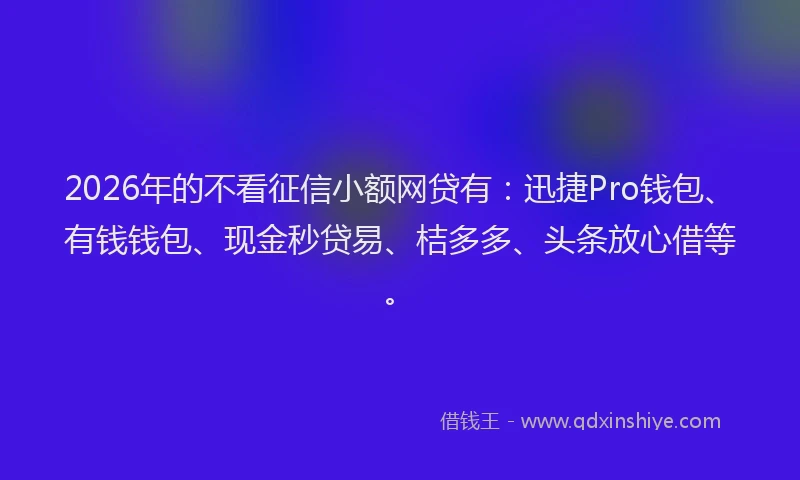 2026年的不看征信小额网贷有：迅捷Pro钱包、有钱钱包、现金秒贷易、桔多多、头条放心借等。