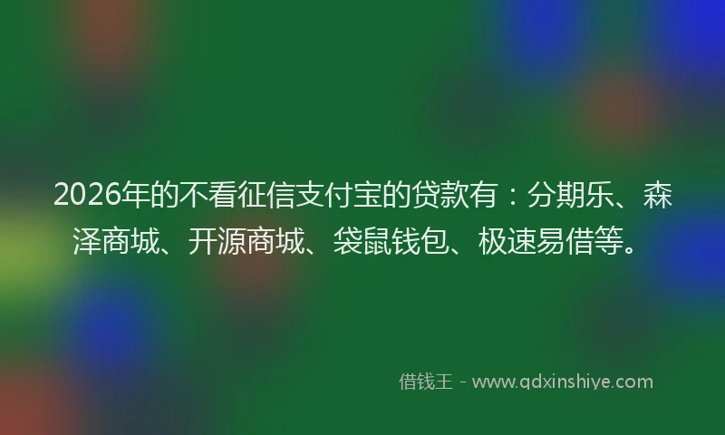 2026年的不看征信支付宝的贷款有：分期乐、森泽商城、开源商城、袋鼠钱包、极速易借等。