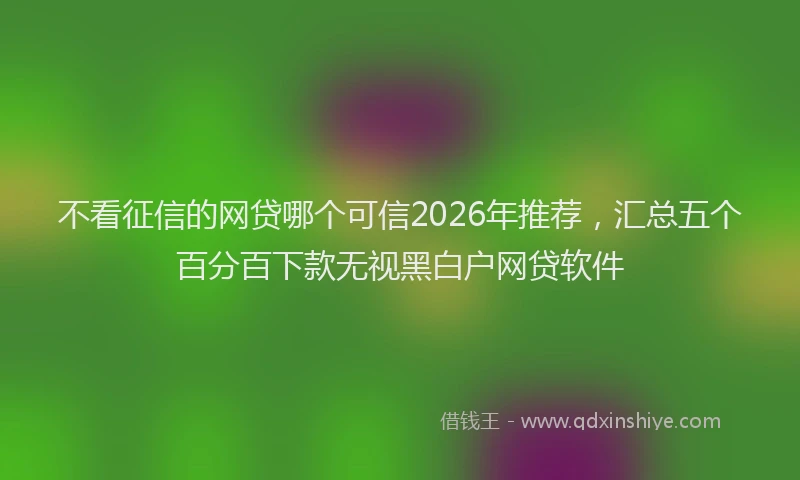 不看征信的网贷哪个可信2026年推荐，汇总五个百分百下款无视黑白户网贷软件